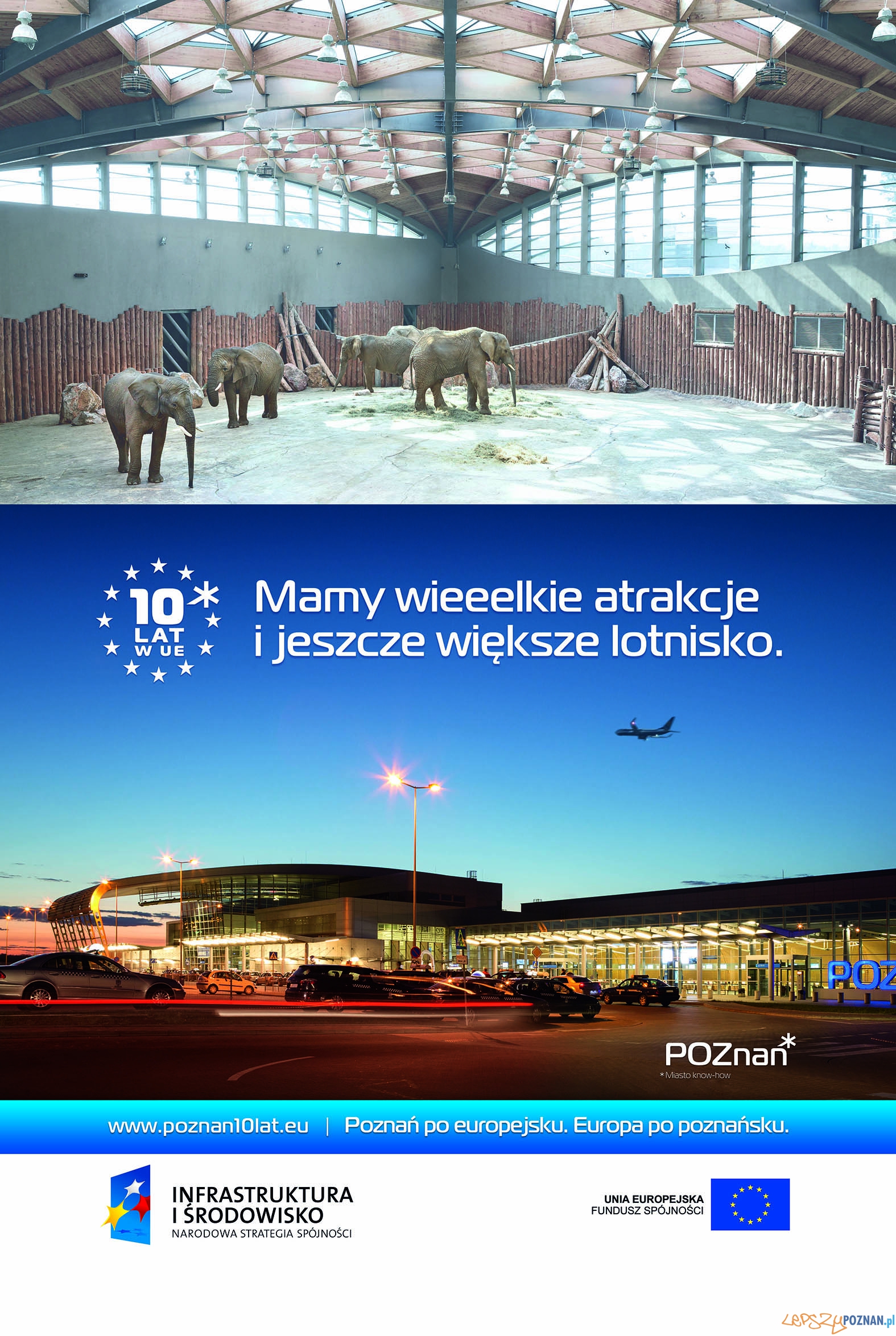 POZNAN citylight lotnisko+slonie-1 Foto: POZNAN citylight lotnisko+slonie-1 Foto: