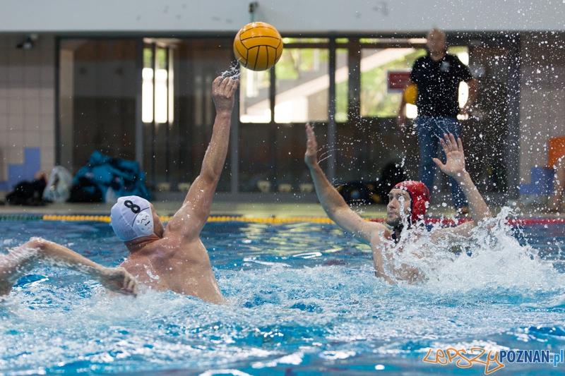 DSW Waterpolo Poznań - ŁSTW Uniwersytet Łódzki (Paweł Wielgórski) Foto: lepszyPOZNAN.pl / Piotr Rychter DSW Waterpolo Poznań - ŁSTW Uniwersytet Łódzki (Paweł Wielgórski) Foto: lepszyPOZNAN.pl / Piotr Rychter