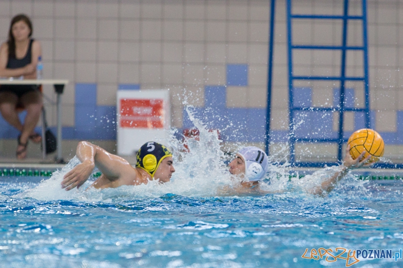 DSW Waterpolo Poznań - ŁSTW Uniwersytet Łódzki (Oskar Szymonik, Piotr Piątek) Foto: lepszyPOZNAN.pl / Piotr Rychter DSW Waterpolo Poznań - ŁSTW Uniwersytet Łódzki (Oskar Szymonik, Piotr Piątek) Foto: lepszyPOZNAN.pl / Piotr Rychter