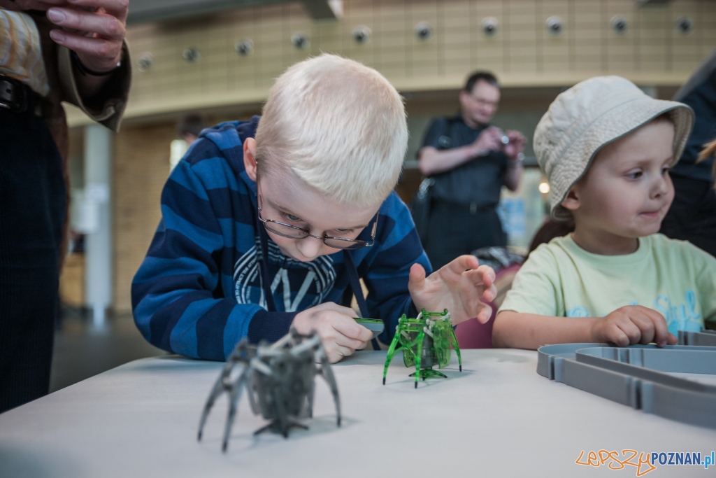 Atrakcje dla małych inżynierów Foto: Atrakcje dla małych inżynierów Foto: