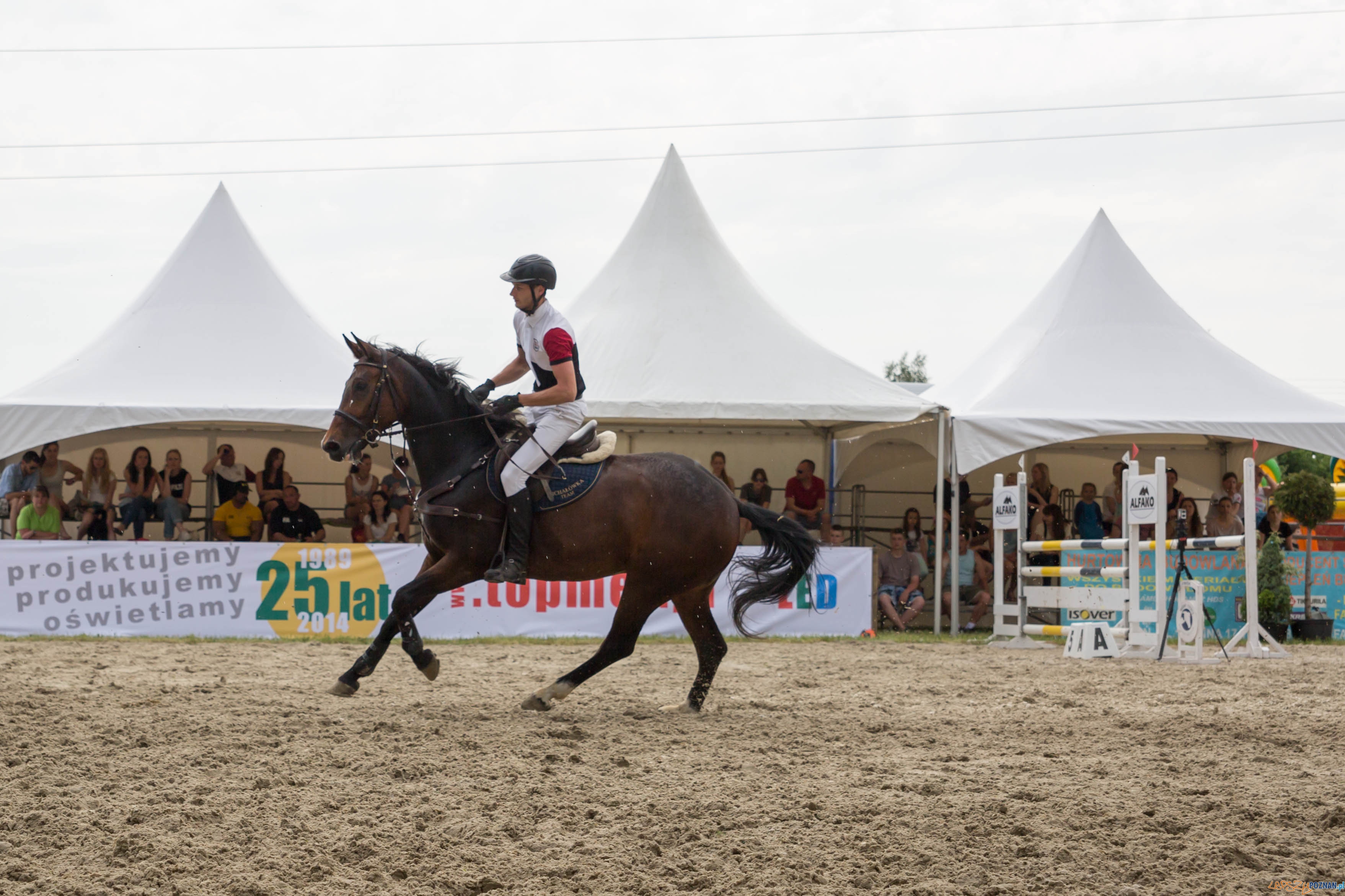 Majówka z koniem Foto: lepszyPOZNAN.pl / Katarzyna Stawecka Majówka z koniem Foto: lepszyPOZNAN.pl / Katarzyna Stawecka