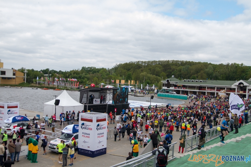 Wings For Life Poland - Poznań 04.05.2014 r. Foto: LepszyPOZNAN.pl / Paweł Rychter Wings For Life Poland - Poznań 04.05.2014 r. Foto: LepszyPOZNAN.pl / Paweł Rychter