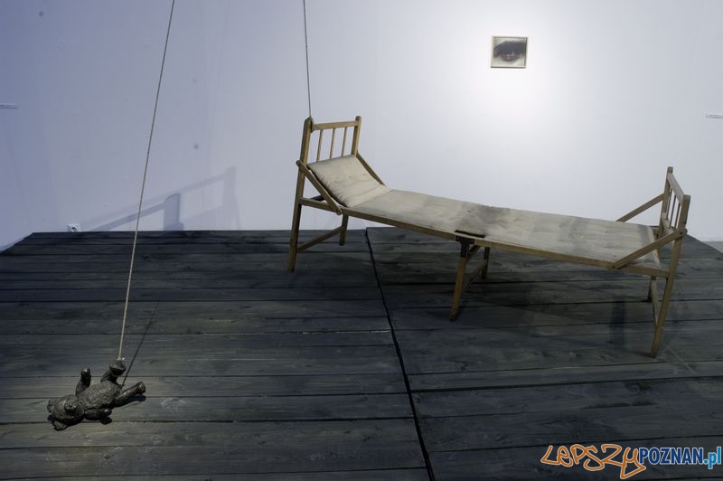 Kurka - Kołyska Foto: materiały prasowe Kurka - Kołyska Foto: materiały prasowe