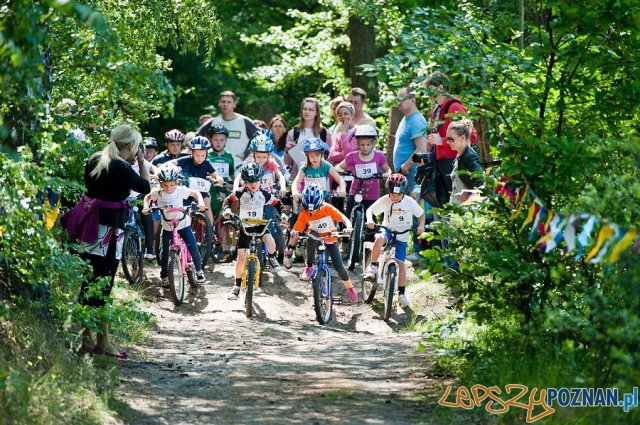 Triathlon Sierakow Foto: Imprezy triathlonowe cieszą się coraz większą popularnością. W zawodach startują dorośli i dzieci. I Triathlon Sierakow Foto: Imprezy triathlonowe cieszą się coraz większą popularnością. W zawodach startują dorośli i dzieci. I