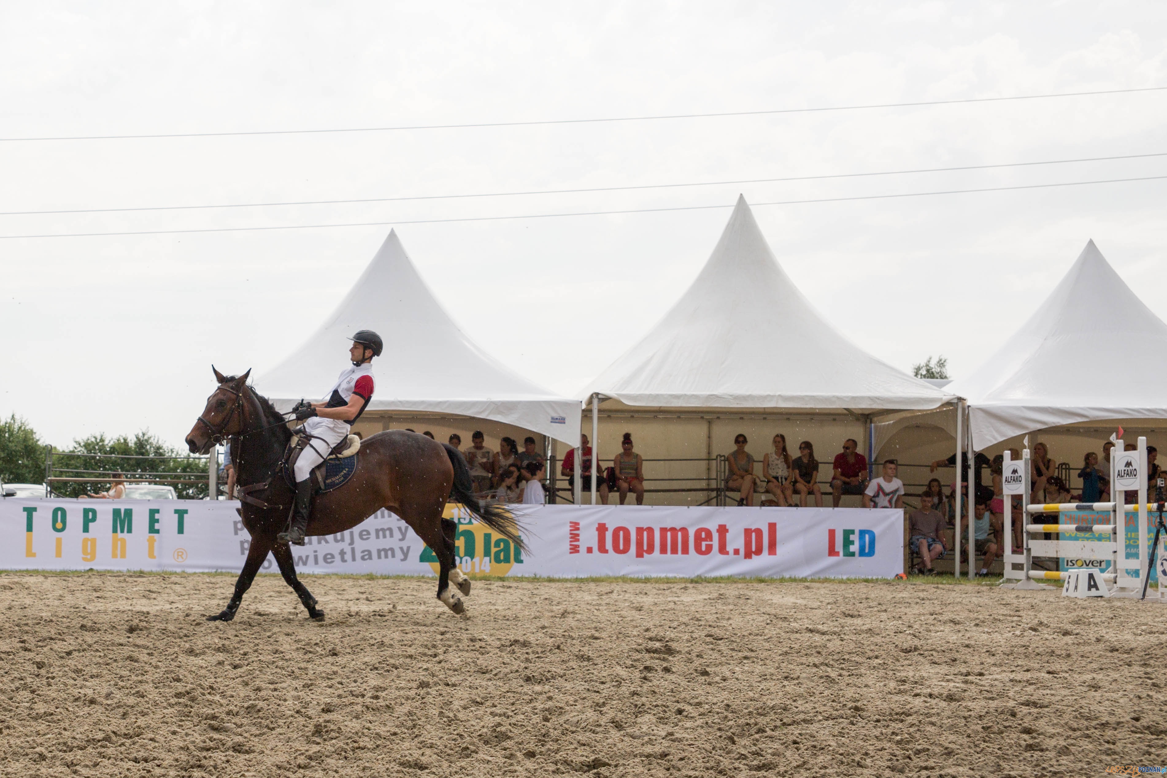 Majówka z koniem Foto: lepszyPOZNAN.pl / Katarzyna Stawecka Majówka z koniem Foto: lepszyPOZNAN.pl / Katarzyna Stawecka