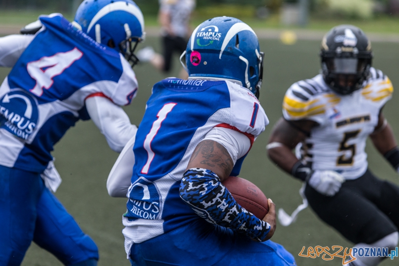 Kozły Poznań - Seahawks Gdynia - Poznań 17.05.2014 r. Foto: lepszyPOZNAN.pl / Piotr Rychter Kozły Poznań - Seahawks Gdynia - Poznań 17.05.2014 r. Foto: lepszyPOZNAN.pl / Piotr Rychter