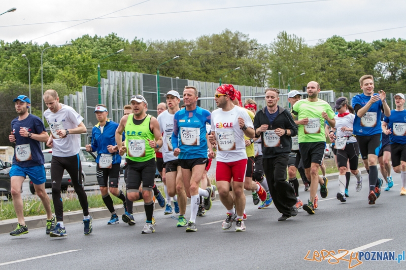 Wings For Life Poland - Poznań 04.05.2014 r. Foto: LepszyPOZNAN.pl / Paweł Rychter Wings For Life Poland - Poznań 04.05.2014 r. Foto: LepszyPOZNAN.pl / Paweł Rychter