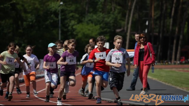 Triathlon Sierakow - bieg dzieciaków Foto: Imprezy triathlonowe cieszą się coraz większą popularnością. W zawodach startują dorośli i dzieci. I Triathlon Sierakow - bieg dzieciaków Foto: Imprezy triathlonowe cieszą się coraz większą popularnością. W zawodach startują dorośli i dzieci. I