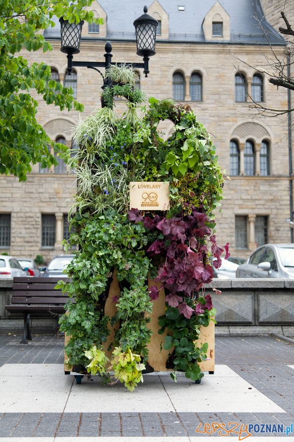 Las. Blizej niz myslisz - Lovelasy Foto: Las. Blizej niz myslisz - Lovelasy Foto: