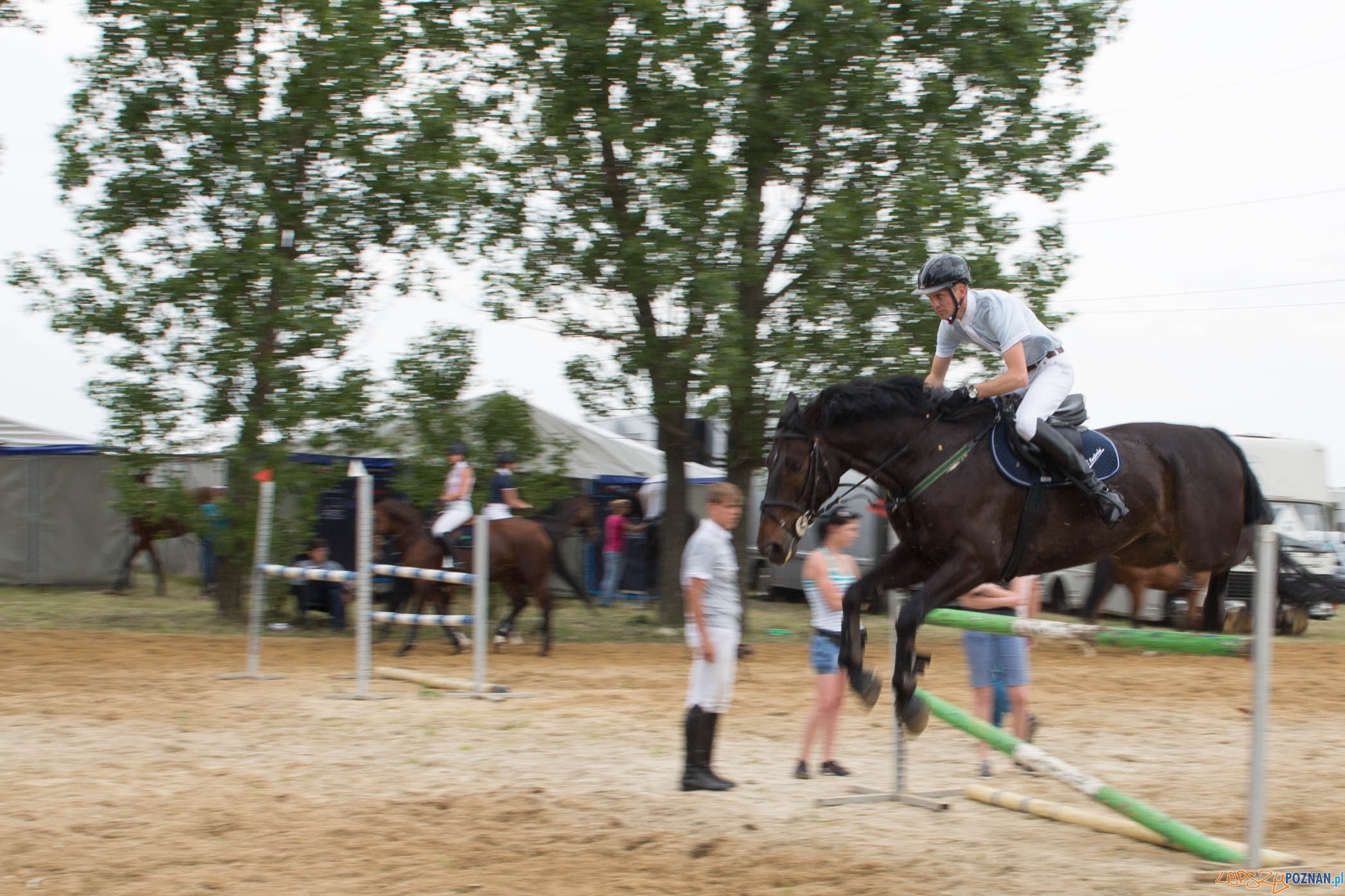 Majówka z koniem Foto: lepszyPOZNAN.pl / Katarzyna Stawecka Majówka z koniem Foto: lepszyPOZNAN.pl / Katarzyna Stawecka