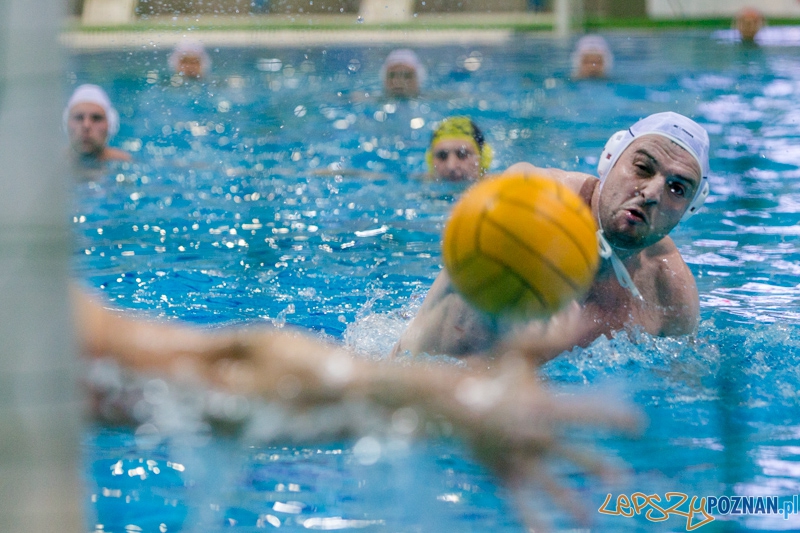 DSW Waterpolo Poznań - ŁSTW Uniwersytet Łódzki (Tomasz Różycki) Foto: lepszyPOZNAN.pl / Piotr Rychter DSW Waterpolo Poznań - ŁSTW Uniwersytet Łódzki (Tomasz Różycki) Foto: lepszyPOZNAN.pl / Piotr Rychter