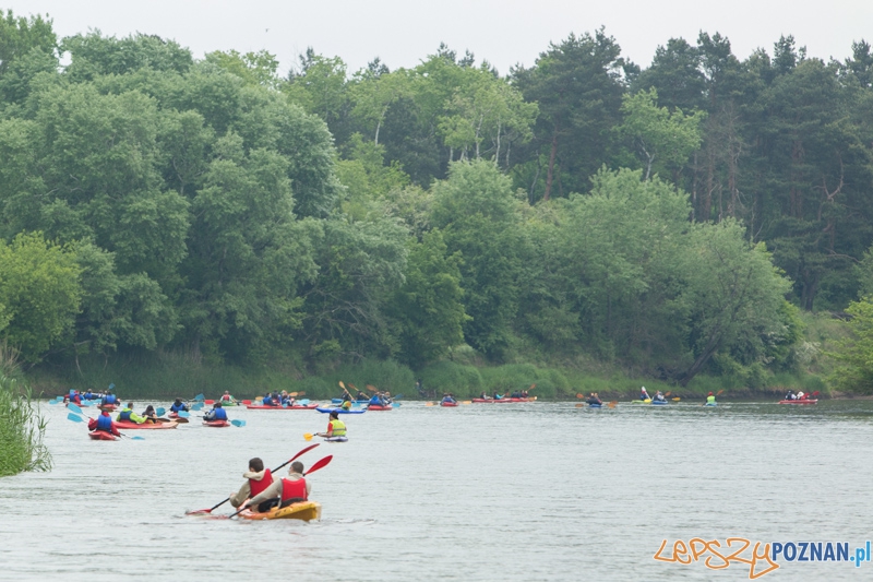 Poznańska Kajakowa Masa Krytyczna Foto: lepszyPOZNAN.pl / Piotr Rychter Poznańska Kajakowa Masa Krytyczna Foto: lepszyPOZNAN.pl / Piotr Rychter