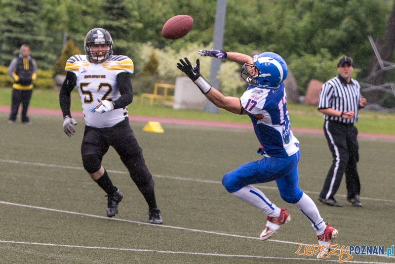 Kozły Poznań - Seahawks Gdynia - Poznań 17.05.2014 r. Foto: lepszyPOZNAN.pl / Piotr Rychter Kozły Poznań - Seahawks Gdynia - Poznań 17.05.2014 r. Foto: lepszyPOZNAN.pl / Piotr Rychter