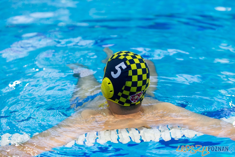 DSW Waterpolo Poznań - ŁSTW Uniwersytet Łódzki (Piotr Piątek) Foto: lepszyPOZNAN.pl / Piotr Rychter DSW Waterpolo Poznań - ŁSTW Uniwersytet Łódzki (Piotr Piątek) Foto: lepszyPOZNAN.pl / Piotr Rychter