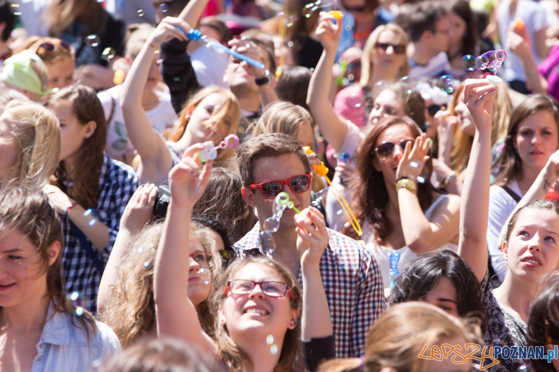 Bańki mydlane na Starym Rynku Foto: lepszyPOZNAN.pl / Piotr Rychter Bańki mydlane na Starym Rynku Foto: lepszyPOZNAN.pl / Piotr Rychter