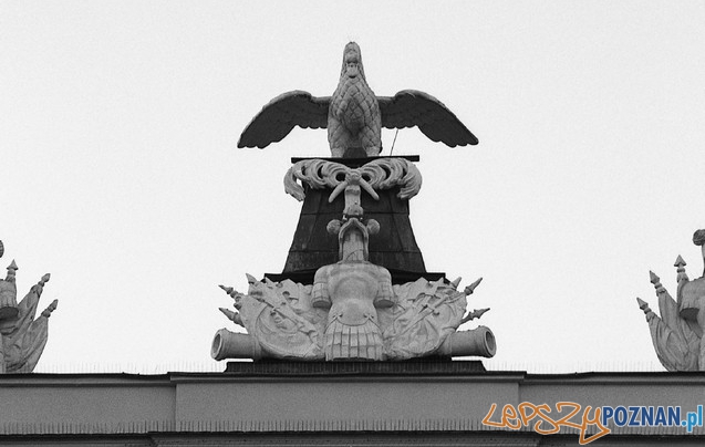 Organizm Foto: Organizm Foto: