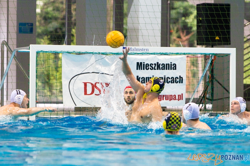 DSW Waterpolo Poznań - ŁSTW Uniwersytet Łódzki Foto: lepszyPOZNAN.pl / Piotr Rychter DSW Waterpolo Poznań - ŁSTW Uniwersytet Łódzki Foto: lepszyPOZNAN.pl / Piotr Rychter