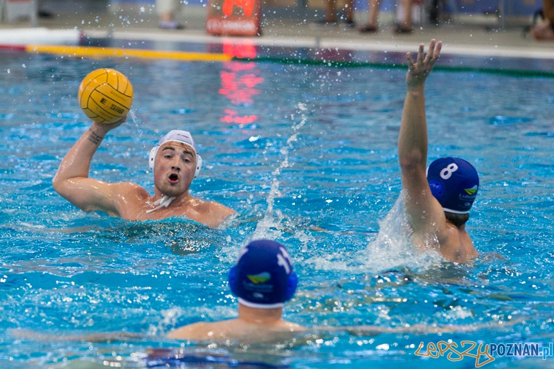 DSW Waterpolo Poznań – GKPW 59 Gorzów (Dawid Łuc) Foto: lepszyPOZNAN.pl / Piotr Rychter DSW Waterpolo Poznań – GKPW 59 Gorzów (Dawid Łuc) Foto: lepszyPOZNAN.pl / Piotr Rychter