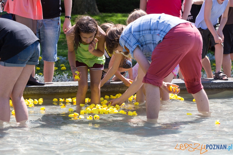 Bad Rubber Ducker Foto: lepszyPOZNAN.pl / Piotr Rychter Bad Rubber Ducker Foto: lepszyPOZNAN.pl / Piotr Rychter