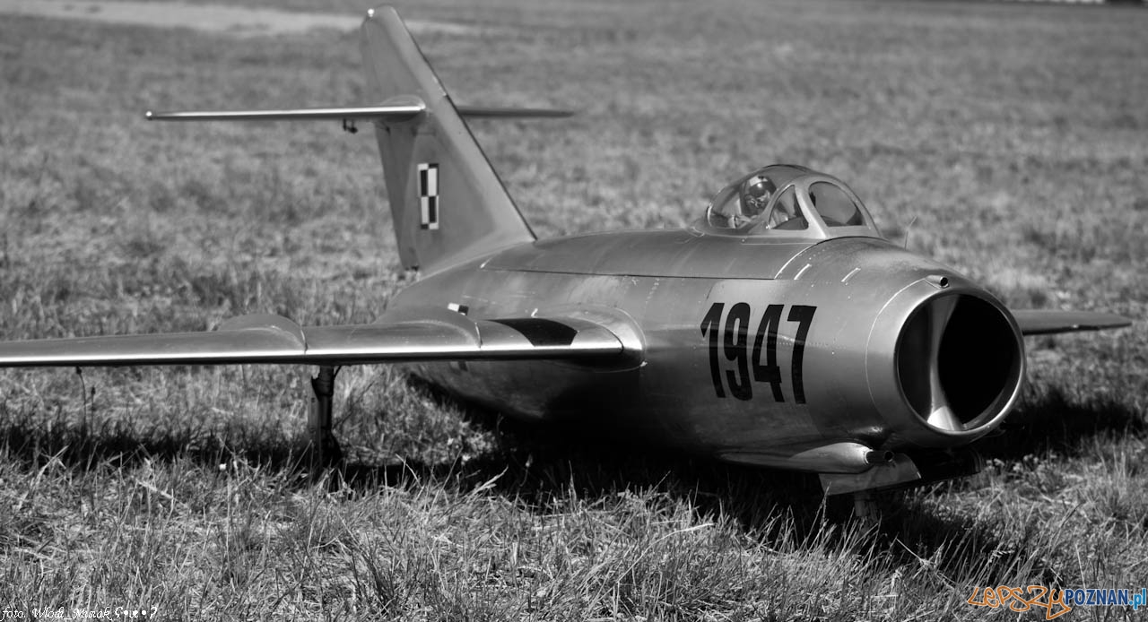 Zlot Gigantów 2014 - kobylnica 7-8.06.2014 Foto: Włodzimierz Misiak Zlot Gigantów 2014 - kobylnica 7-8.06.2014 Foto: Włodzimierz Misiak