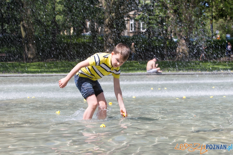 Bad Rubber Ducker Foto: lepszyPOZNAN.pl / Piotr Rychter Bad Rubber Ducker Foto: lepszyPOZNAN.pl / Piotr Rychter