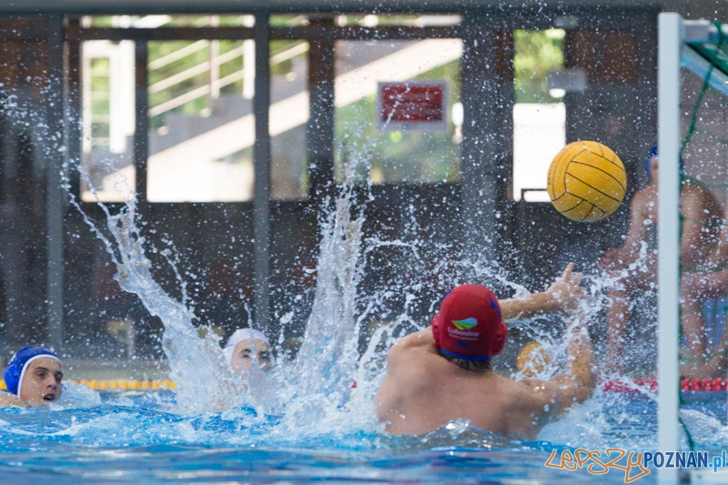 DSW Waterpolo Poznań – GKPW 59 Gorzów Foto: lepszyPOZNAN.pl / Piotr Rychter DSW Waterpolo Poznań – GKPW 59 Gorzów Foto: lepszyPOZNAN.pl / Piotr Rychter