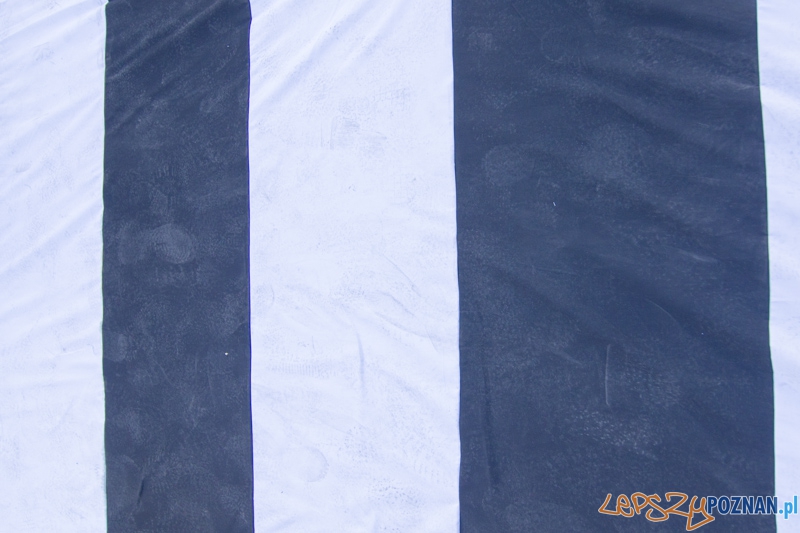 Uwolnić Zebrę Foto: lepszyPOZNAN.pl / Piotr Rychter Uwolnić Zebrę Foto: lepszyPOZNAN.pl / Piotr Rychter