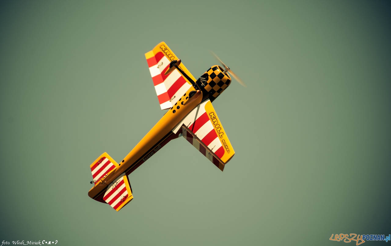 Zlot Gigantów 2014 - kobylnica 7-8.06.2014 Foto: Włodzimierz Misiak Zlot Gigantów 2014 - kobylnica 7-8.06.2014 Foto: Włodzimierz Misiak