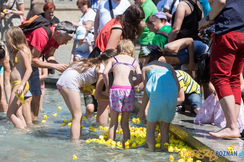 Bad Rubber Ducker Foto: lepszyPOZNAN.pl / Piotr Rychter Bad Rubber Ducker Foto: lepszyPOZNAN.pl / Piotr Rychter