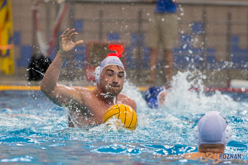 DSW Waterpolo Poznań – GKPW 59 Gorzów (Dawid Łuc) Foto: lepszyPOZNAN.pl / Piotr Rychter DSW Waterpolo Poznań – GKPW 59 Gorzów (Dawid Łuc) Foto: lepszyPOZNAN.pl / Piotr Rychter