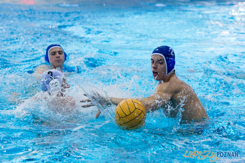 DSW Waterpolo Poznań – GKPW 59 Gorzów (Dawid Łuc, Bartłomiej Kowalewski) Foto: lepszyPOZNAN.pl / Piotr Rychter DSW Waterpolo Poznań – GKPW 59 Gorzów (Dawid Łuc, Bartłomiej Kowalewski) Foto: lepszyPOZNAN.pl / Piotr Rychter