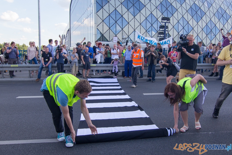 Uwolnić Zebrę Foto: lepszyPOZNAN.pl / Piotr Rychter Uwolnić Zebrę Foto: lepszyPOZNAN.pl / Piotr Rychter