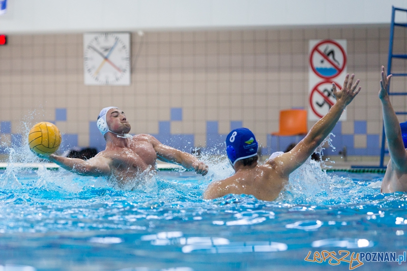 DSW Waterpolo Poznań – GKPW 59 Gorzów (Dawid Łuc, Marcin Kulis) Foto: lepszyPOZNAN.pl / Piotr Rychter DSW Waterpolo Poznań – GKPW 59 Gorzów (Dawid Łuc, Marcin Kulis) Foto: lepszyPOZNAN.pl / Piotr Rychter