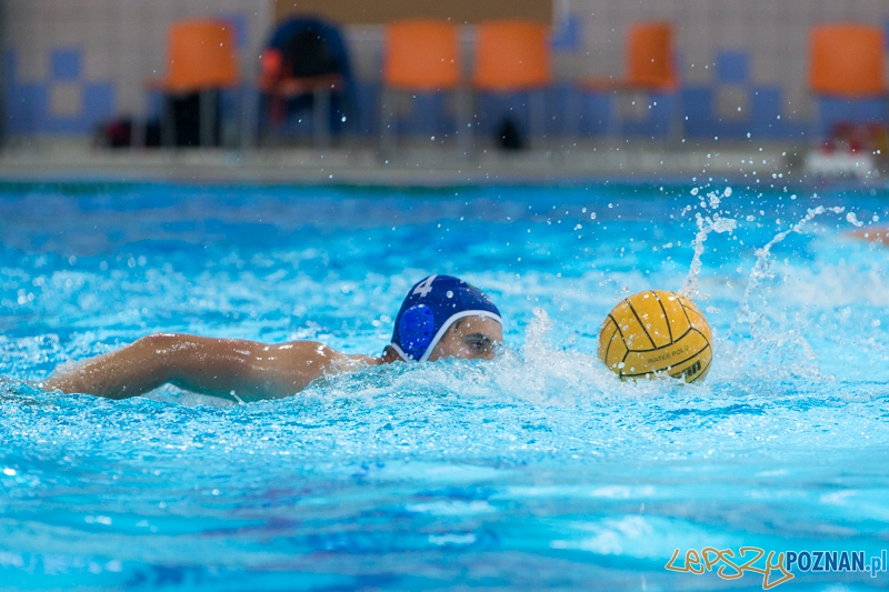 DSW Waterpolo Poznań – GKPW 59 Gorzów (Michał Kulis) Foto: lepszyPOZNAN.pl / Piotr Rychter DSW Waterpolo Poznań – GKPW 59 Gorzów (Michał Kulis) Foto: lepszyPOZNAN.pl / Piotr Rychter