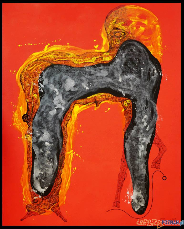 obraz 3 Foto: Piotr Pasiewicz obraz 3 Foto: Piotr Pasiewicz