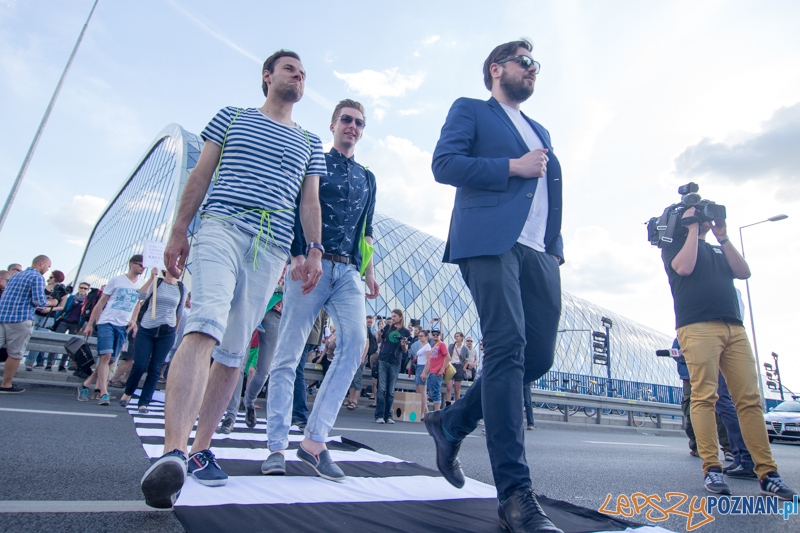 Uwolnić Zebrę Foto: lepszyPOZNAN.pl / Piotr Rychter Uwolnić Zebrę Foto: lepszyPOZNAN.pl / Piotr Rychter