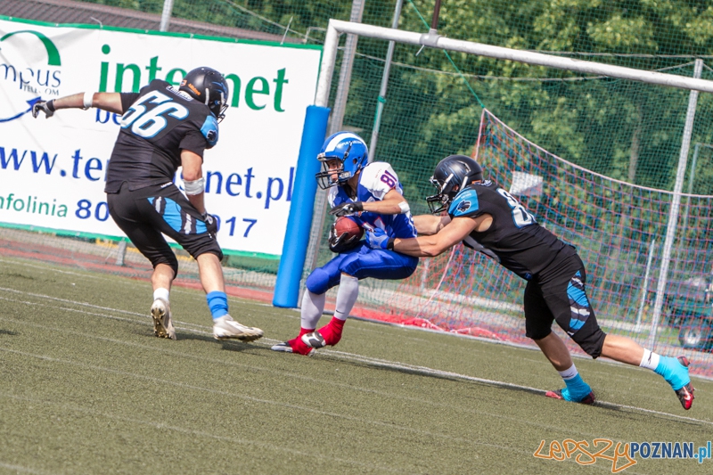 Kozły Poznań - Panthers Wrocław - Poznań 28.06.2014 r.  Foto: LepszyPOZNAN.pl / Paweł Rychter