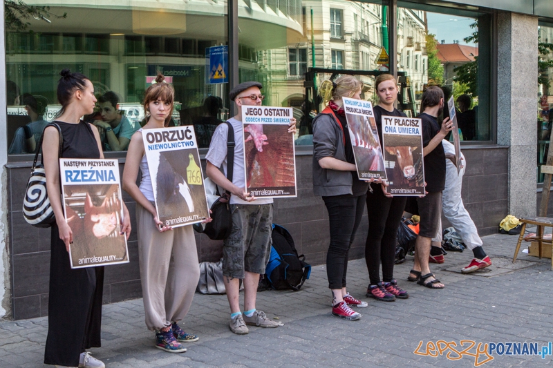 Akcja "Zjadamy Świat" - Poznań 07.06.2014 r. Foto: LepszyPOZNAN.pl / Paweł Rychter Akcja "Zjadamy Świat" - Poznań 07.06.2014 r. Foto: LepszyPOZNAN.pl / Paweł Rychter