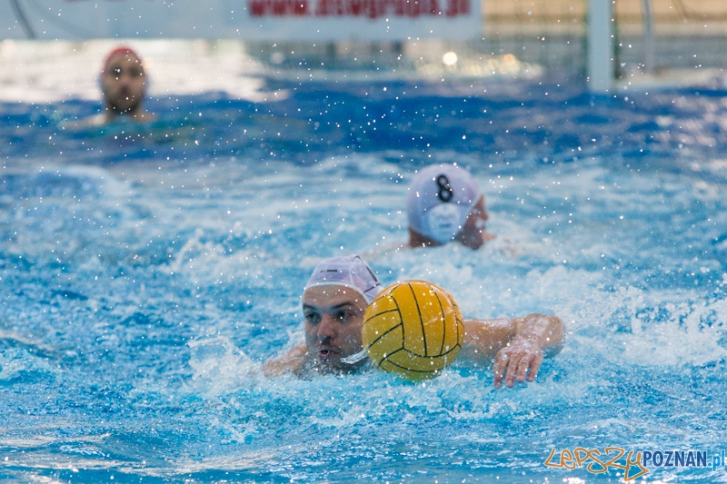 DSW Waterpolo Poznań – GKPW 59 Gorzów (Tomasz Różycki) Foto: lepszyPOZNAN.pl / Piotr Rychter DSW Waterpolo Poznań – GKPW 59 Gorzów (Tomasz Różycki) Foto: lepszyPOZNAN.pl / Piotr Rychter