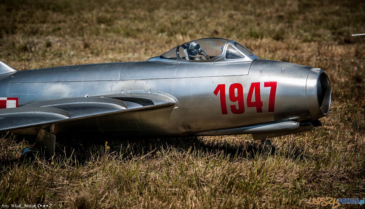 Zlot Gigantów 2014 - kobylnica 7-8.06.2014 Foto: Włodzimierz Misiak Zlot Gigantów 2014 - kobylnica 7-8.06.2014 Foto: Włodzimierz Misiak