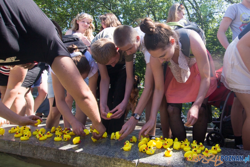 Bad Rubber Ducker Foto: lepszyPOZNAN.pl / Piotr Rychter Bad Rubber Ducker Foto: lepszyPOZNAN.pl / Piotr Rychter