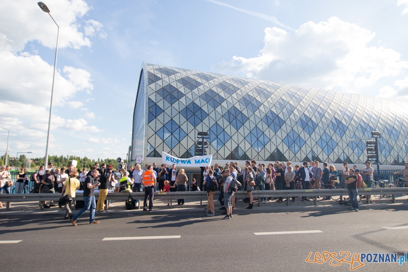 Uwolnić Zebrę Foto: lepszyPOZNAN.pl / Piotr Rychter Uwolnić Zebrę Foto: lepszyPOZNAN.pl / Piotr Rychter