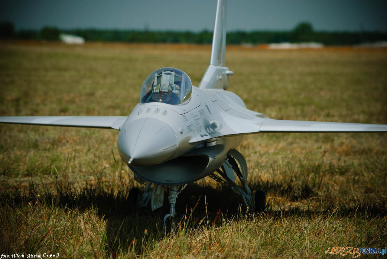 Zlot Gigantów 2014 - kobylnica 7-8.06.2014 Foto: Włodzimierz Misiak Zlot Gigantów 2014 - kobylnica 7-8.06.2014 Foto: Włodzimierz Misiak