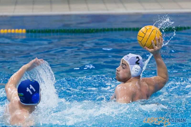 DSW Waterpolo Poznań – GKPW 59 Gorzów (Dawid Łuc) Foto: lepszyPOZNAN.pl / Piotr Rychter DSW Waterpolo Poznań – GKPW 59 Gorzów (Dawid Łuc) Foto: lepszyPOZNAN.pl / Piotr Rychter