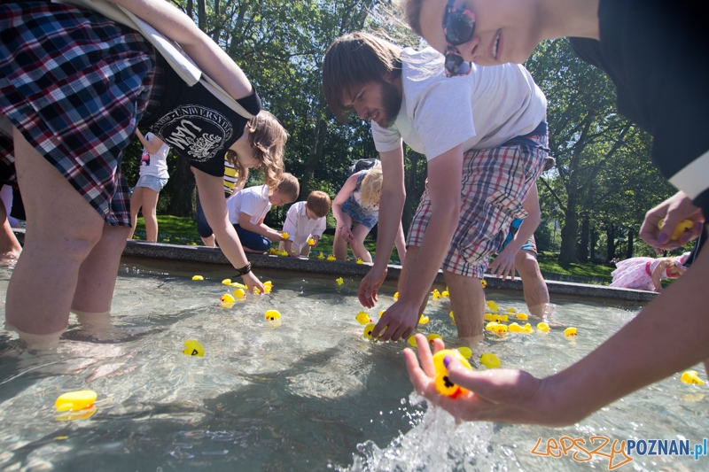 Bad Rubber Ducker Foto: lepszyPOZNAN.pl / Piotr Rychter Bad Rubber Ducker Foto: lepszyPOZNAN.pl / Piotr Rychter