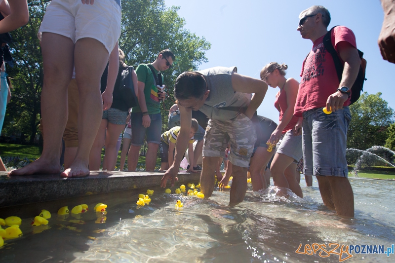 Bad Rubber Ducker Foto: lepszyPOZNAN.pl / Piotr Rychter Bad Rubber Ducker Foto: lepszyPOZNAN.pl / Piotr Rychter