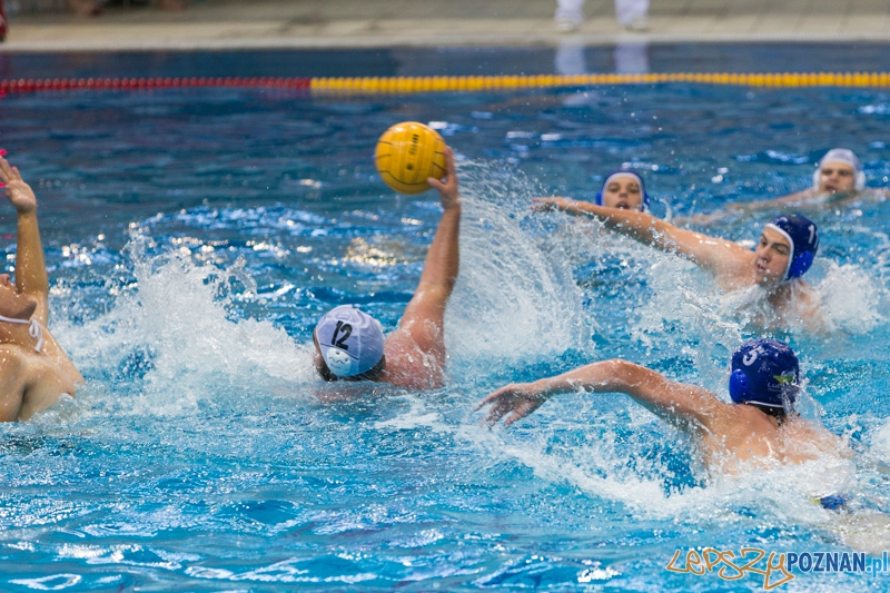 DSW Waterpolo Poznań – GKPW 59 Gorzów (Michał Zawadzki) Foto: lepszyPOZNAN.pl / Piotr Rychter DSW Waterpolo Poznań – GKPW 59 Gorzów (Michał Zawadzki) Foto: lepszyPOZNAN.pl / Piotr Rychter