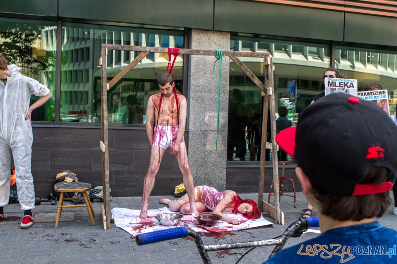 Akcja "Zjadamy Świat" - Poznań 07.06.2014 r. Foto: LepszyPOZNAN.pl / Paweł Rychter Akcja "Zjadamy Świat" - Poznań 07.06.2014 r. Foto: LepszyPOZNAN.pl / Paweł Rychter
