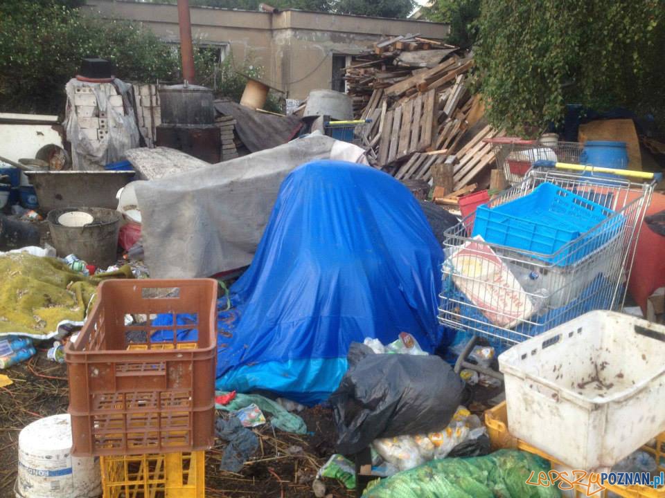 Interwencja TOZ (9) Foto: Interwencja TOZ (9) Foto: