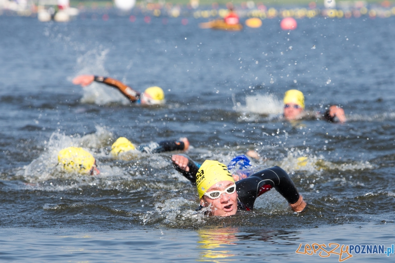 Enea Poznań Triathlon - dystans krótki Foto: lepszyPOZNAN.pl / Piotr Rychter Enea Poznań Triathlon - dystans krótki Foto: lepszyPOZNAN.pl / Piotr Rychter